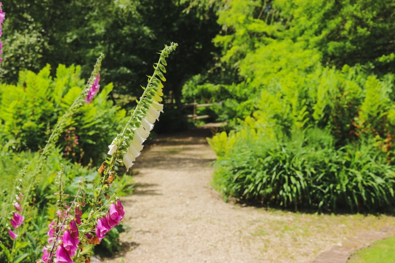 The Walled Garden